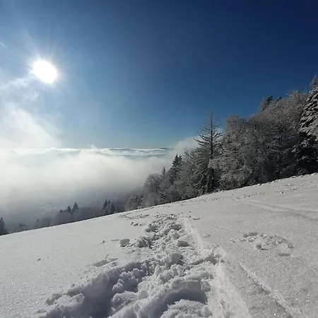 Meuble Classe 3 Etoiles Dans Ferme Du Xixe Restauree דירה לה הוואלד