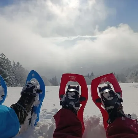 Meuble Classe 3 Etoiles Dans Ferme Du Xixe Restauree דירה