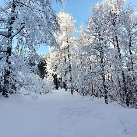 Meuble Classe 3 Etoiles Dans Ferme Du Xixe Restauree דירה *