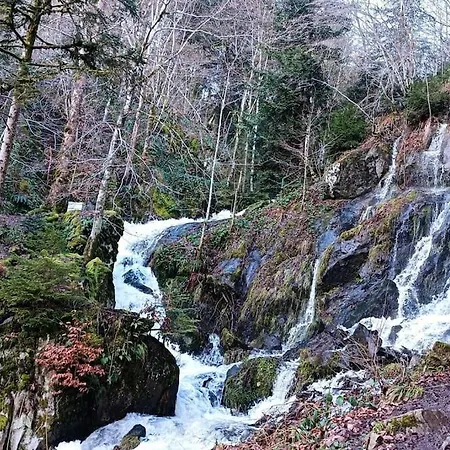 דירה Meuble Classe 3 Etoiles Dans Ferme Du Xixe Restauree לה הוואלד
